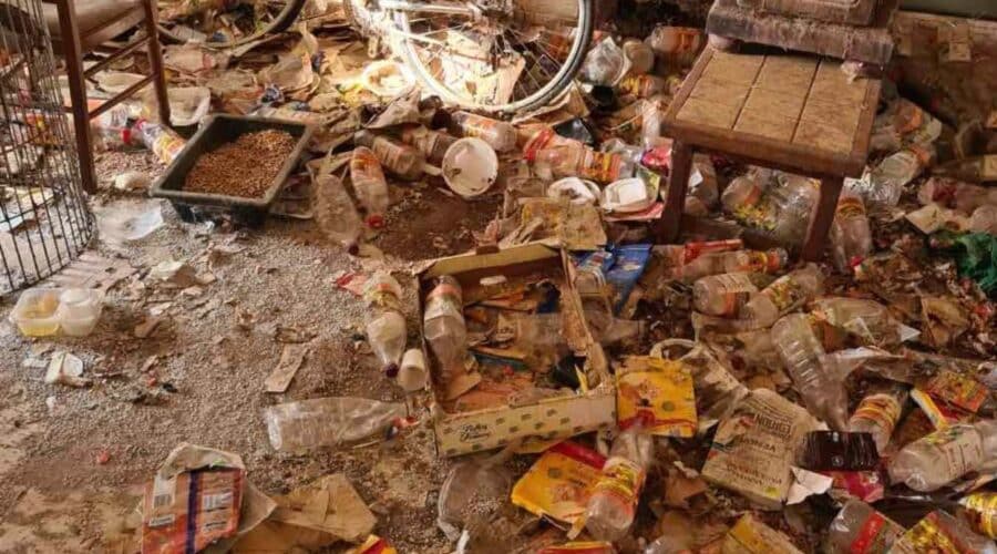 Qu&rsquo;est ce que le syndrome de Diogène et comment le gérer